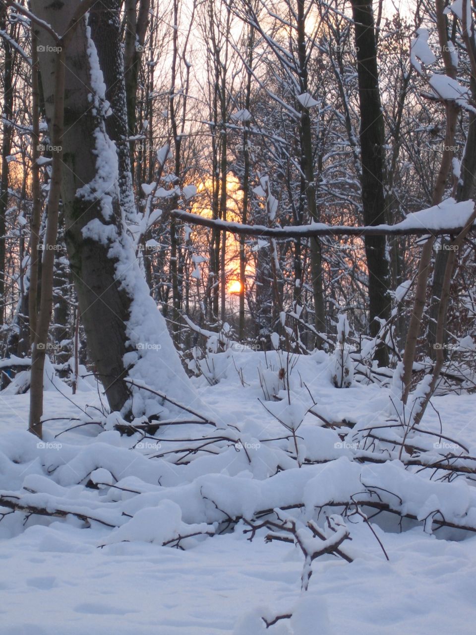 Snow & sunset 🌅, winter light