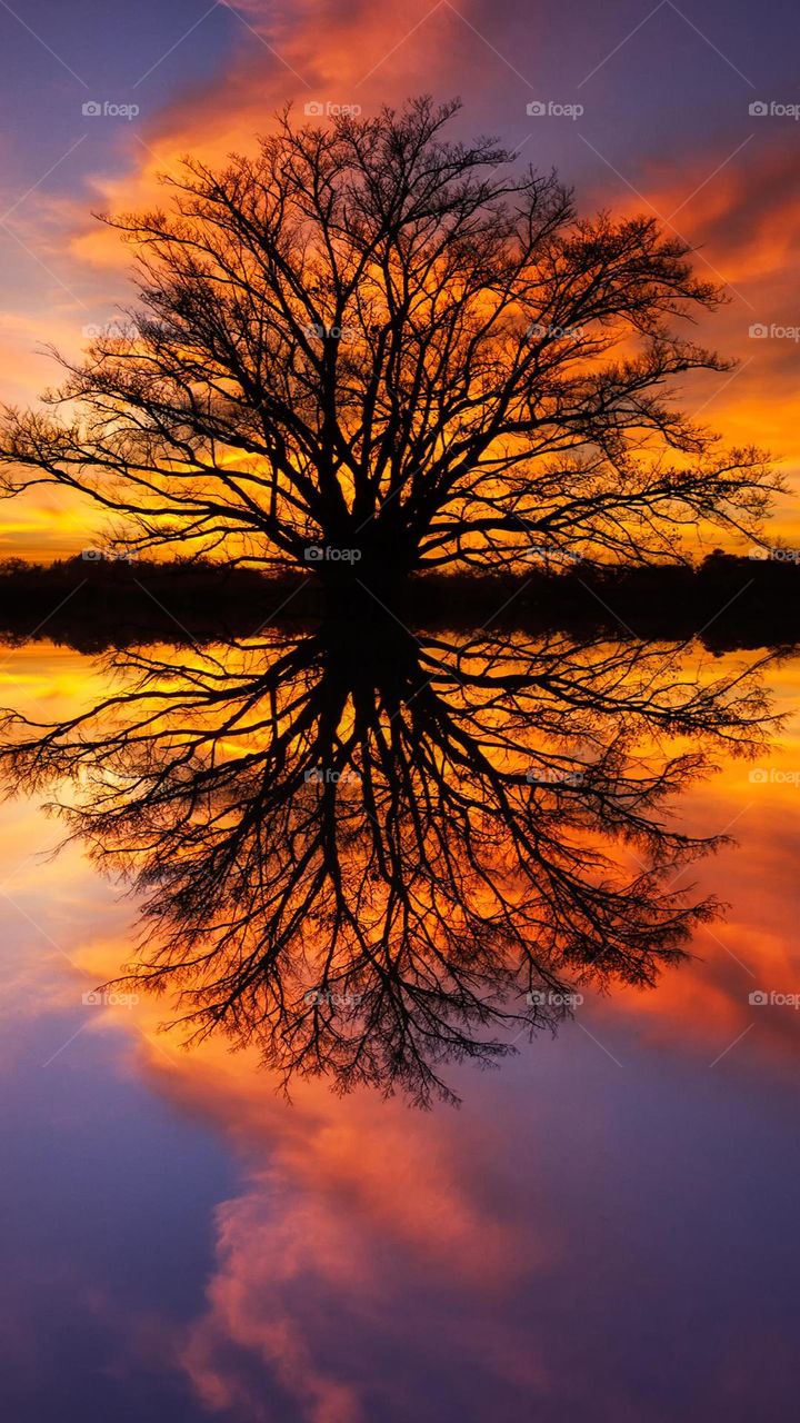 Editing the photos line click