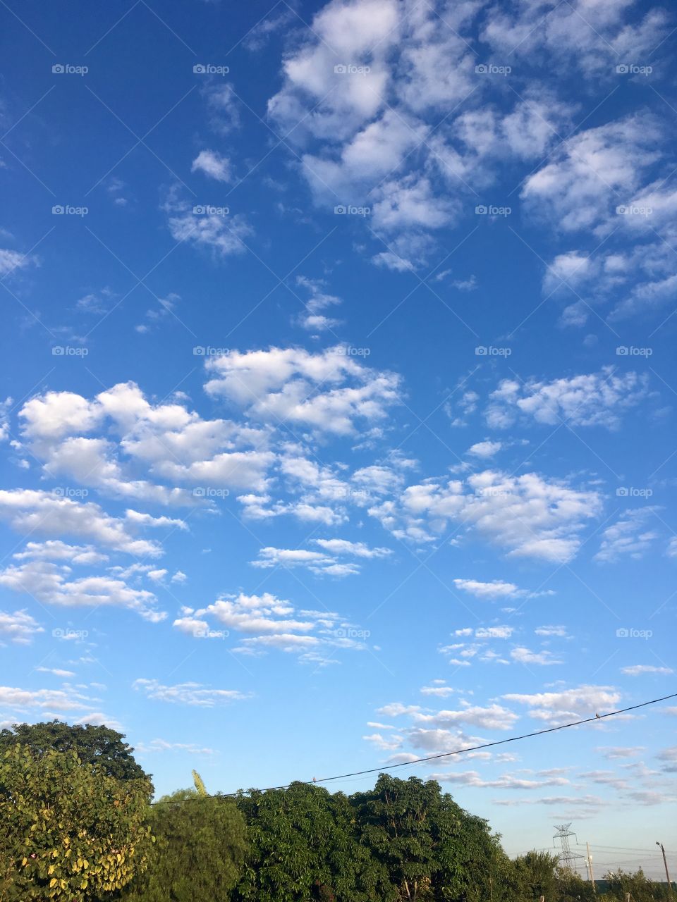 🗾Um #céu azul inspirador!
Como não contemplar? 
🙌🏻
#natureza #paisagem #fotografia #mobgrafia #inspirador #sky #landscapes  