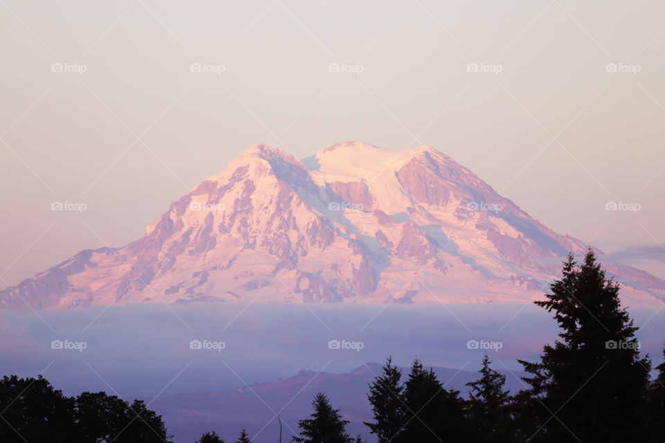 Mount Rainier reflecting sunset