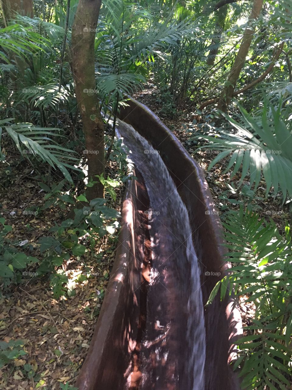 Water slide through the tropical forest in Costa Rica 