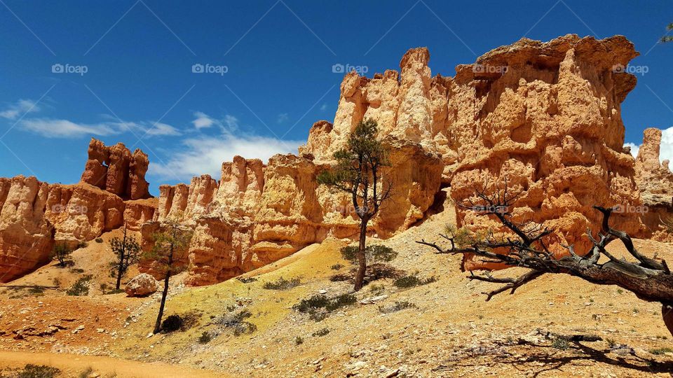 Bryce Canyon