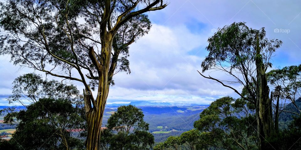 Dial Range NP, Tasmania view