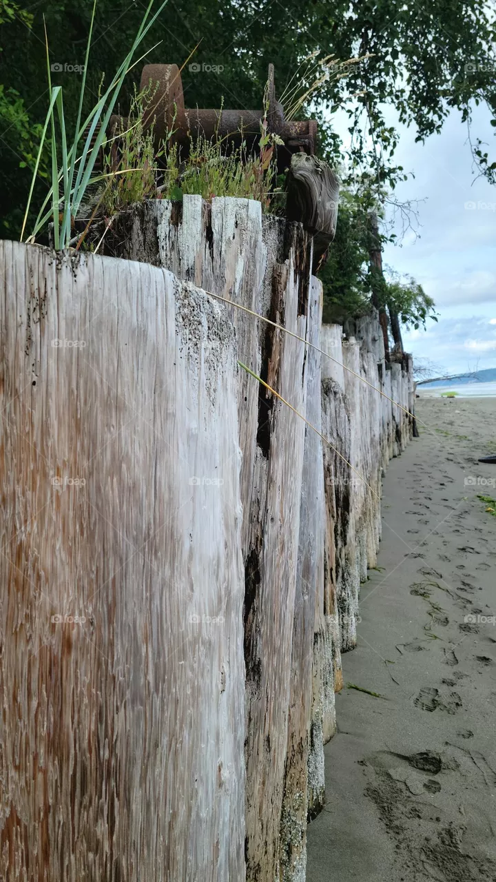 pilings