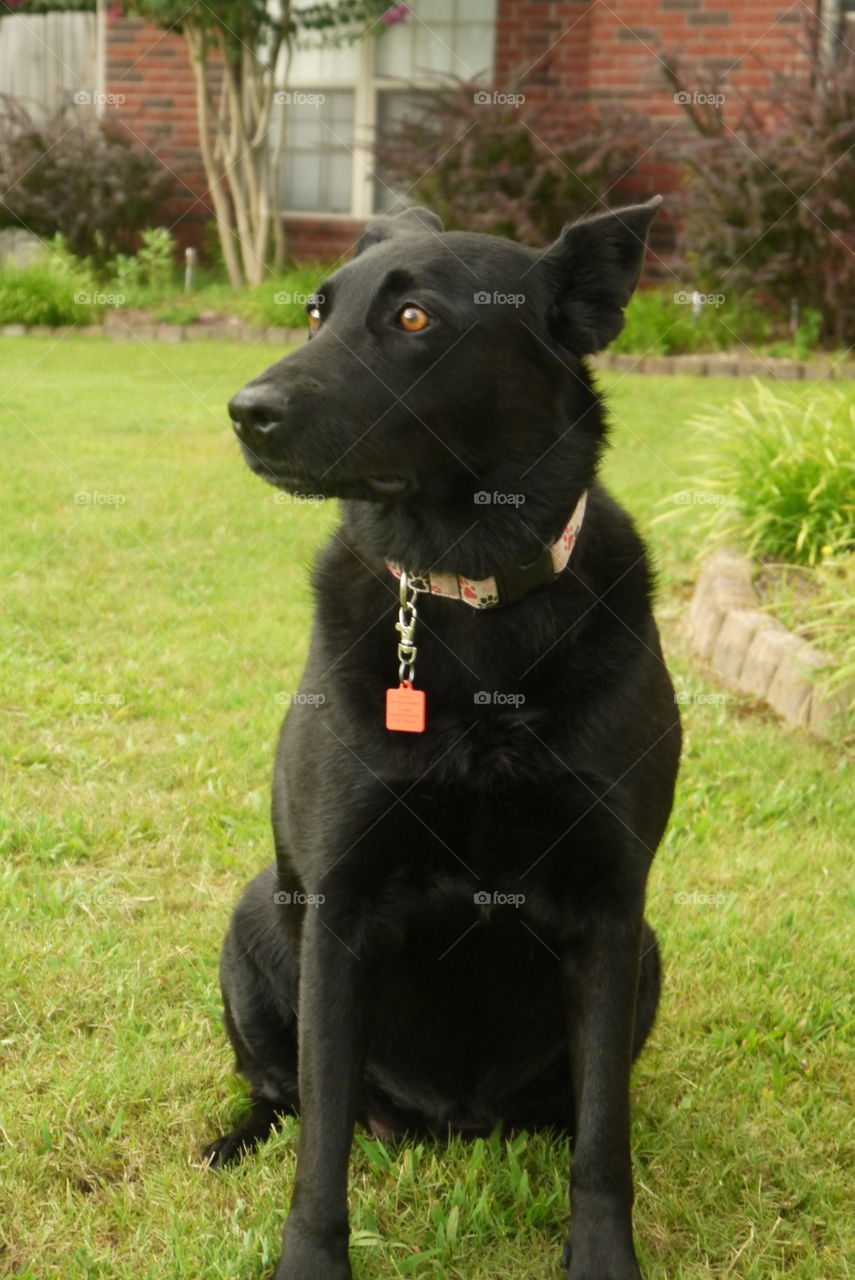 What's That?. Leesa didn't want her picture made but she finally sat still!