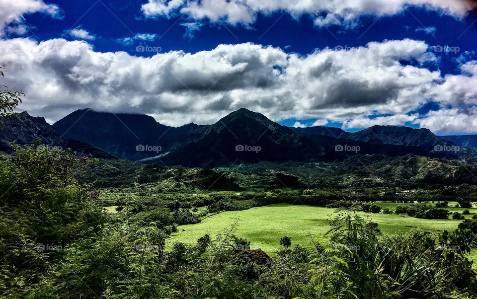 The Valley