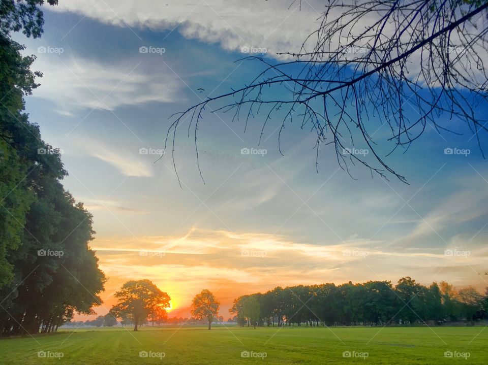 Golden sunrise over a lush green idyllic Countryside landscape with a branch coming into the frame in the foreground 