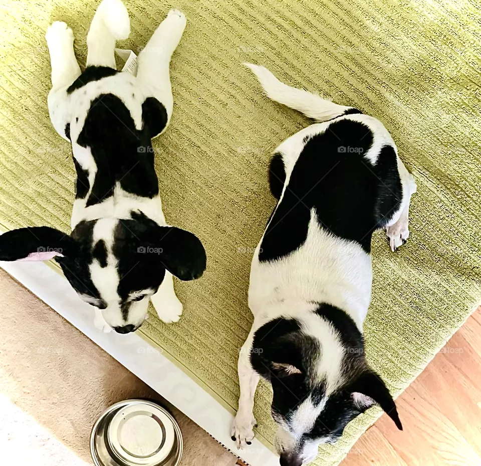 Twinning! 