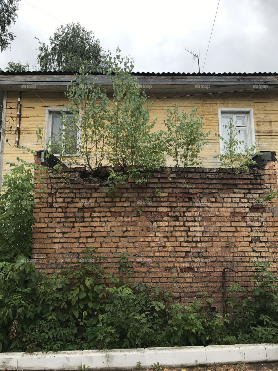 House, Building, Architecture, Family, Wall