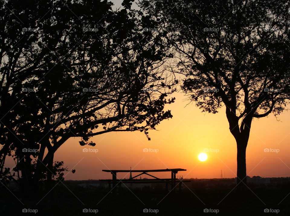 Sunset bench