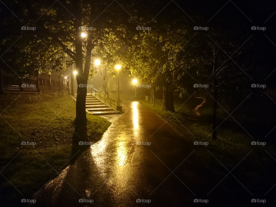 Foggy. A walk in the park on a rainy night. 