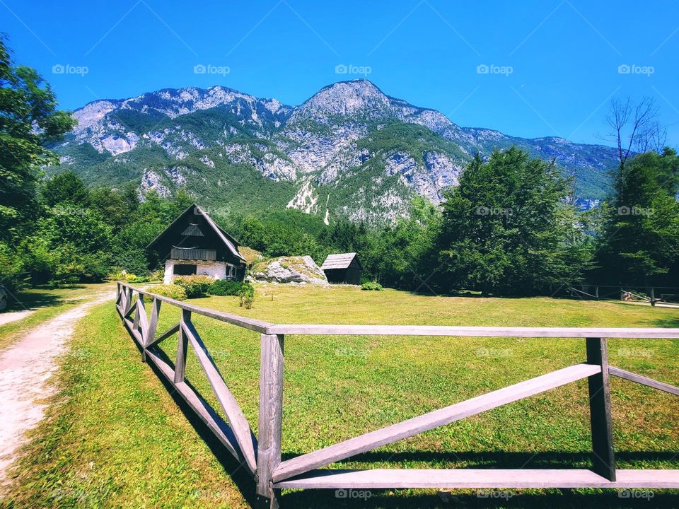 Scenic view of green Alps mountains against blue sky and beautiful blooming flowers in Slovenia. Summer time. Vacation. Landscape