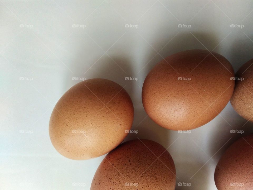 eggs