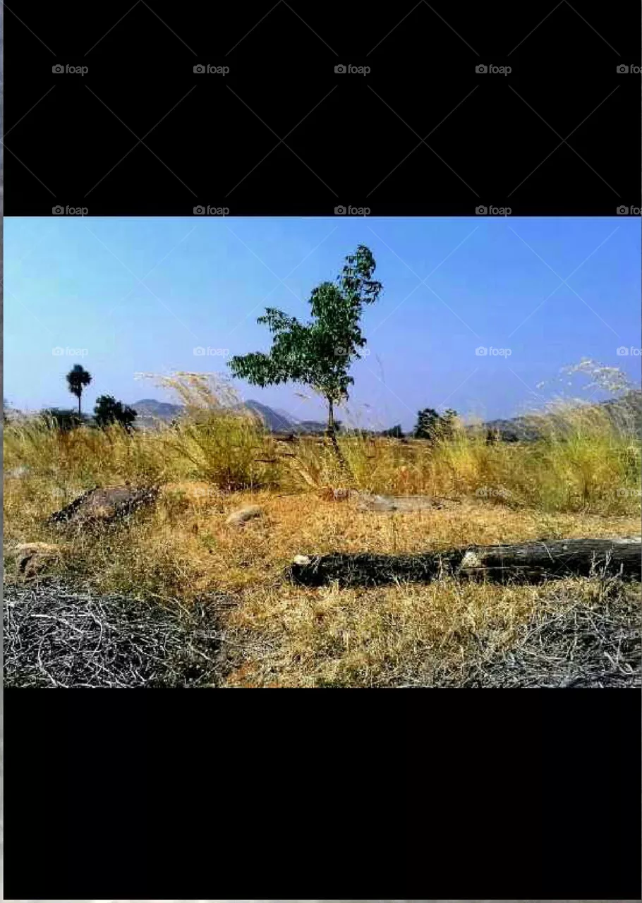 can you find the hidden meaning in this photo?