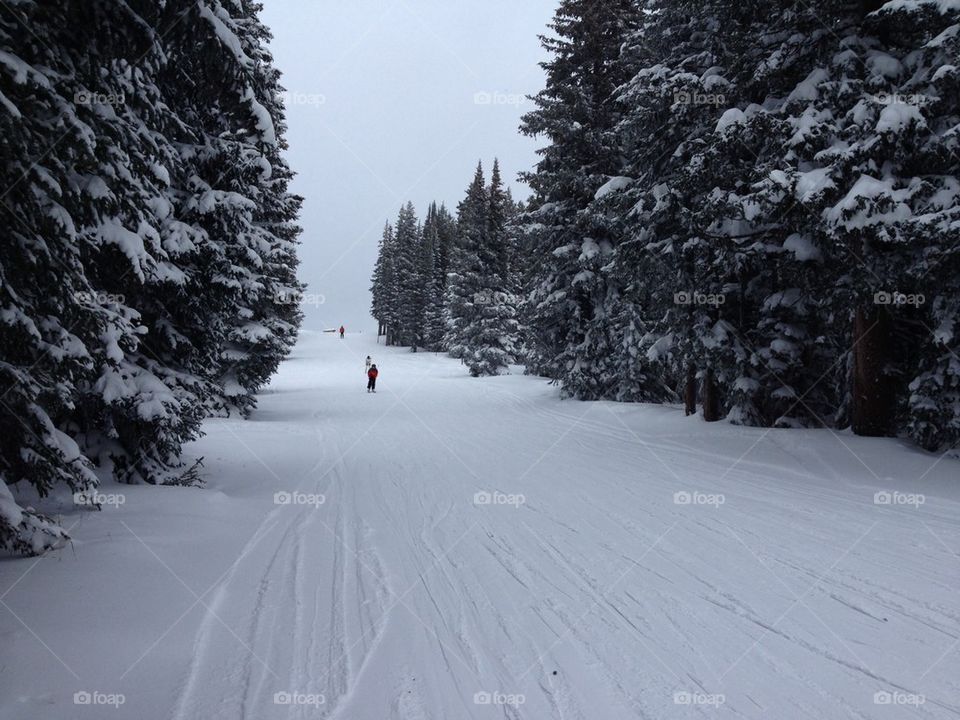 Skier in the snow