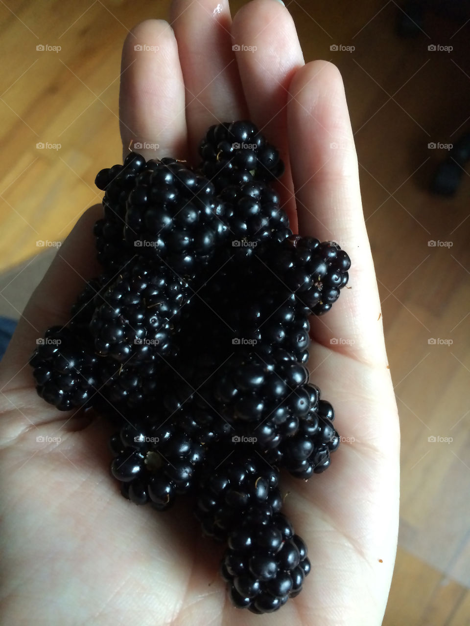 Blackberries season. I took them from a tree on the way back home, while I was living in Victoria, BC - Canada
