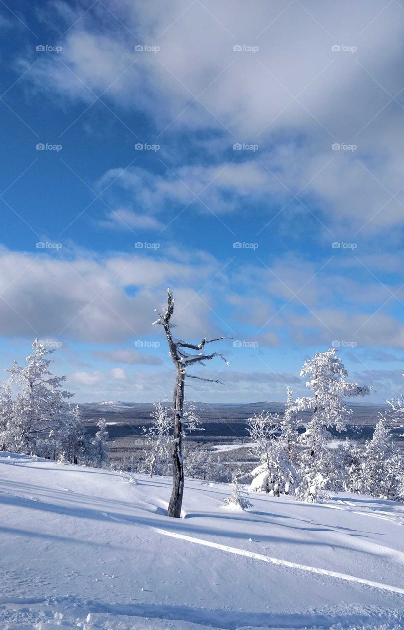 Amazing winter landscape from Pyhätunturi in Lapland, Finland, in early March with perfect light and white snowy view