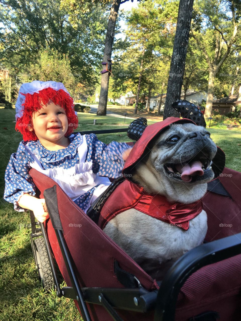 Raggedy Ann and her little devil dog