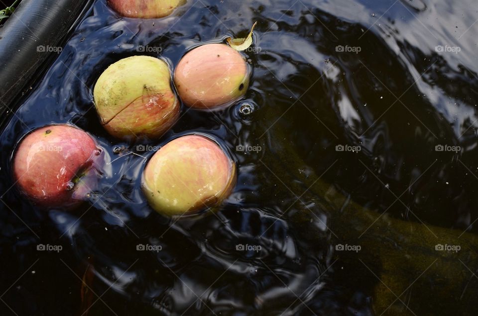Apples in river