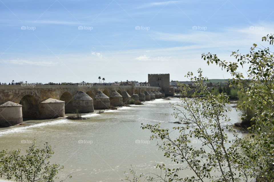 River Guadalquivir Córdoba  Spain