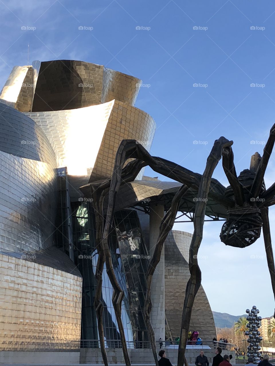Guggenheim museum in Bilbao, Spain, a lovely January day. Also in view is the spider sculpture ”Maman”. 