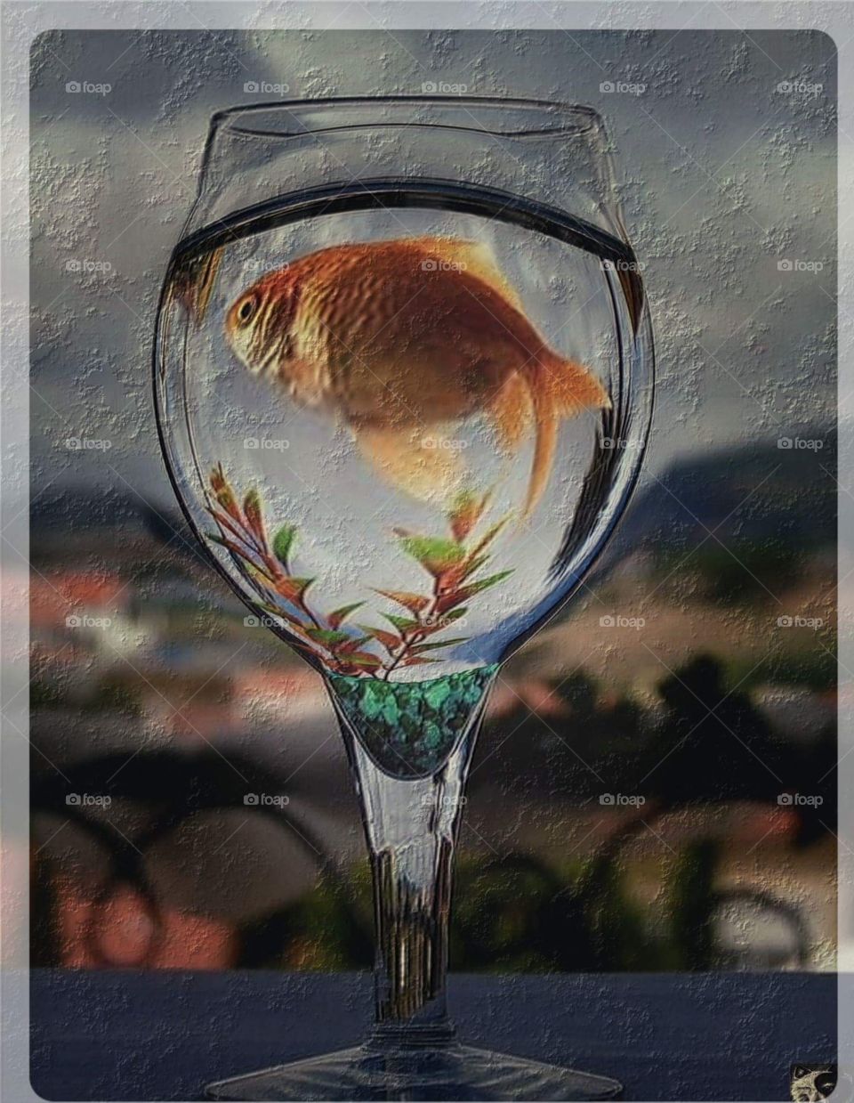fish in glass