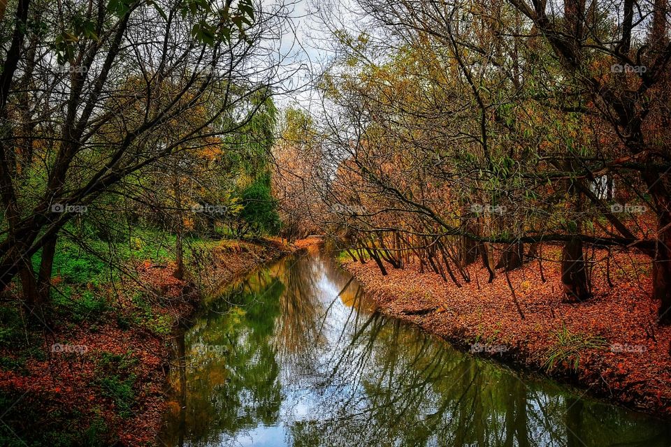 Fall Boucherville Québec 