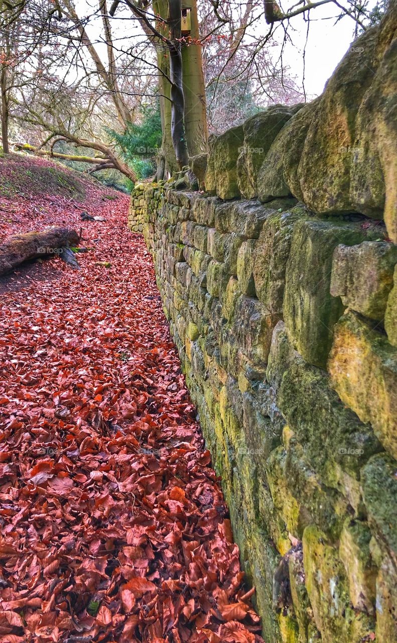 Autumn leaves next to stone wall, national Trust prior park. English countryside.