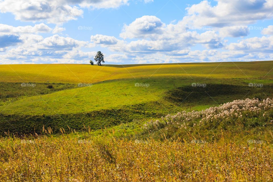 Green Valley