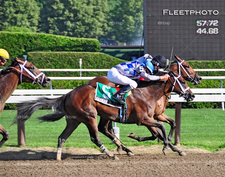 The Schuylerville Dead Heat. Bahnah  and Brazen Persausion raced to a Dead Heat in the featured stakes at Saratoga for juvenile fillies. 
Fleetphoto