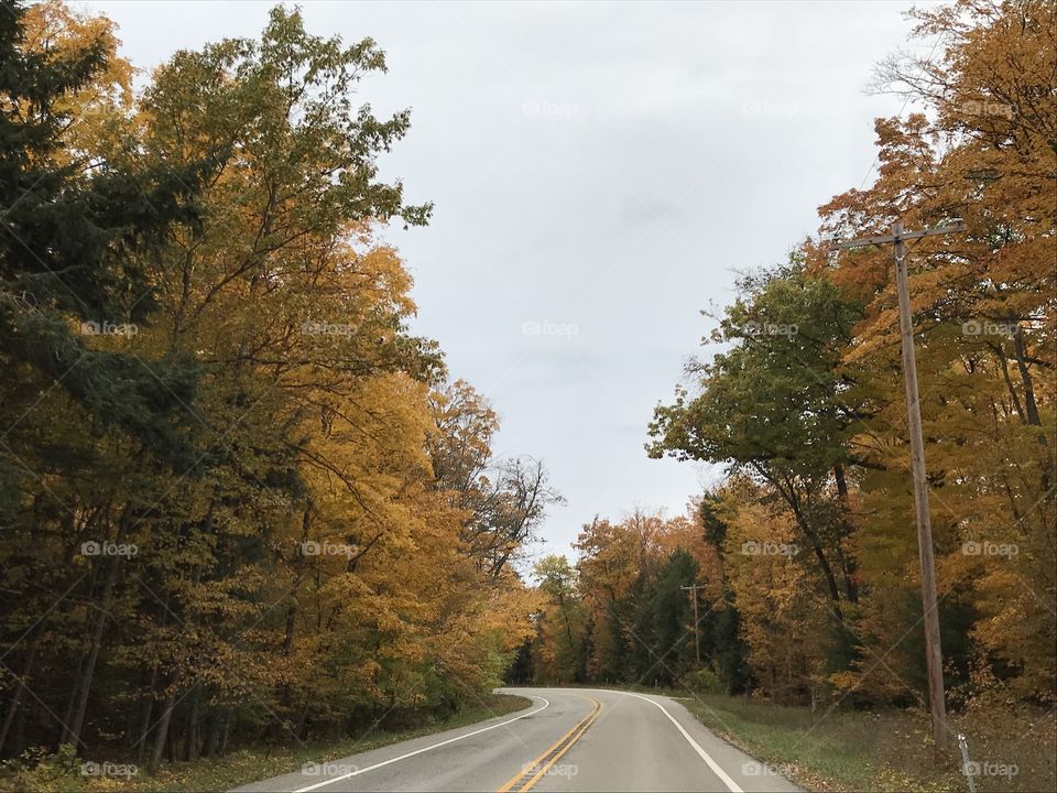Road with fall colors