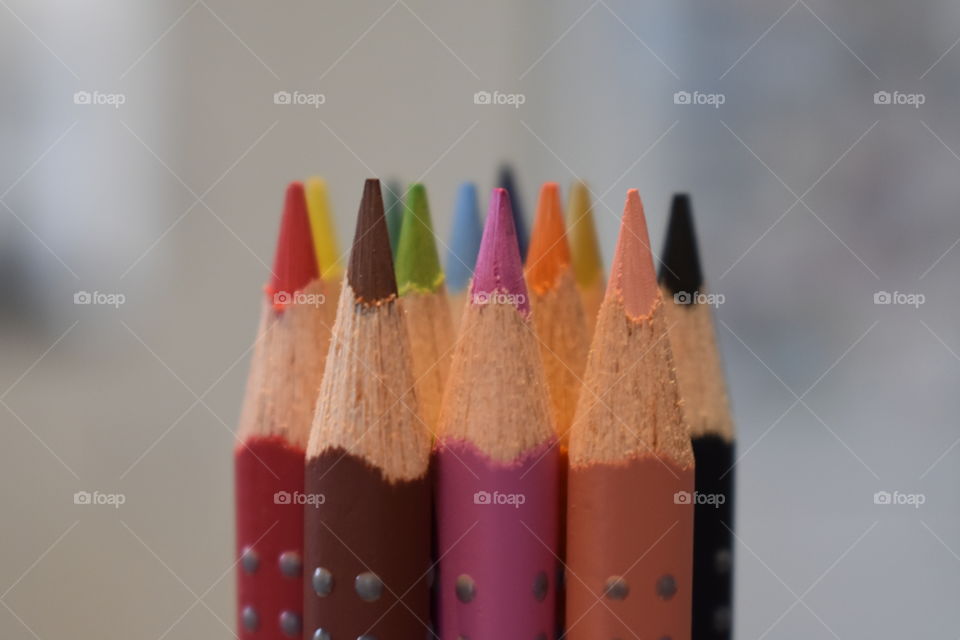 Colour Pencils. Art supplies.