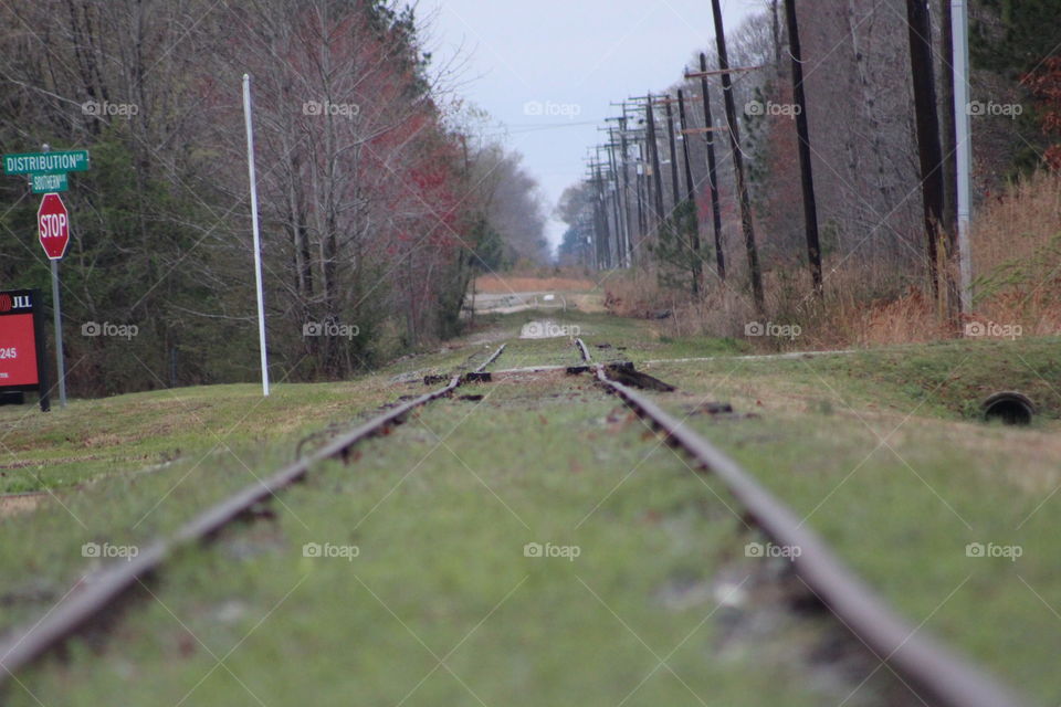 Old Railroad tracks