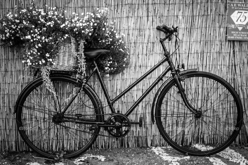 Flower bicycle 