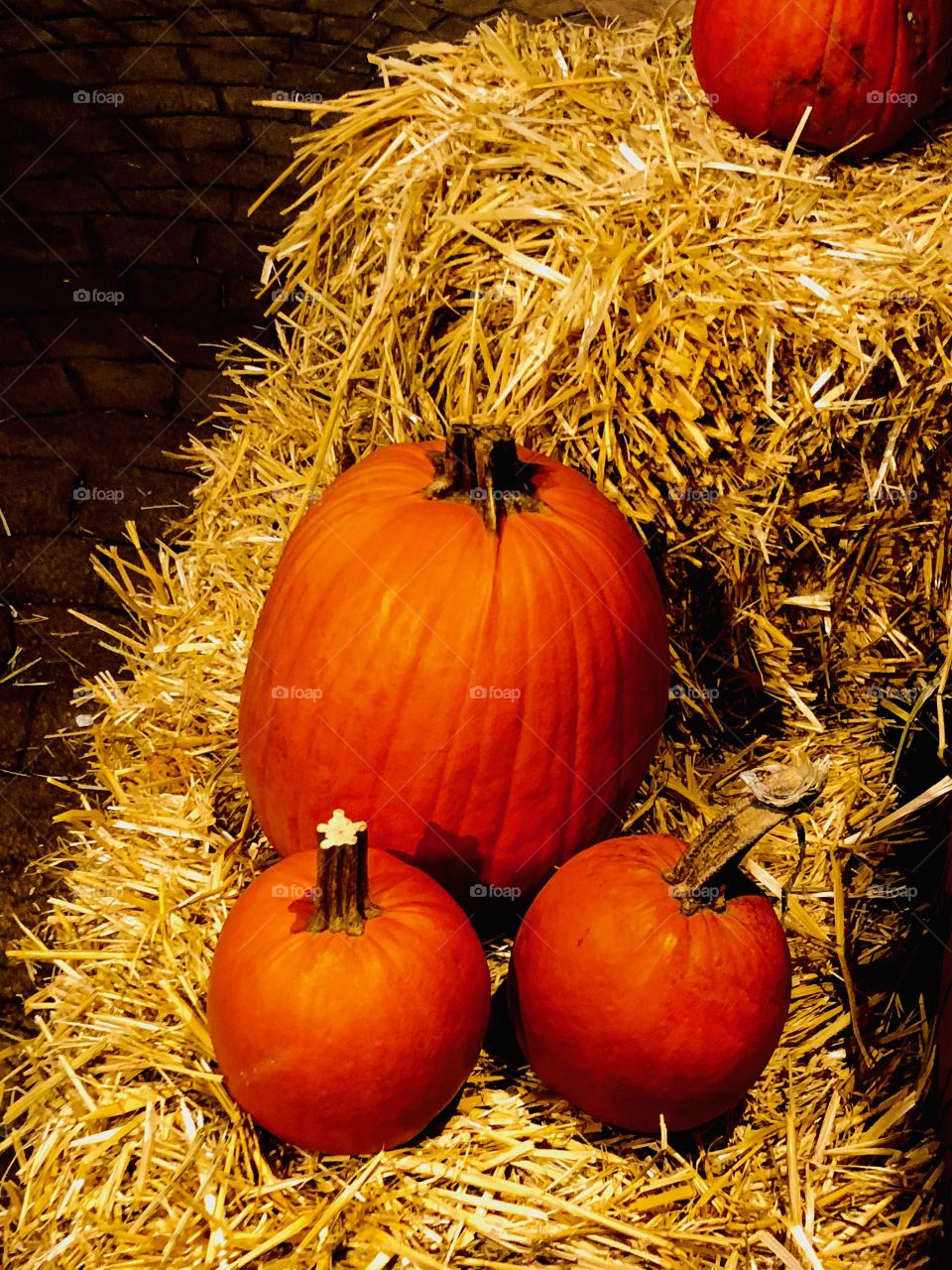 Three pumpkins 