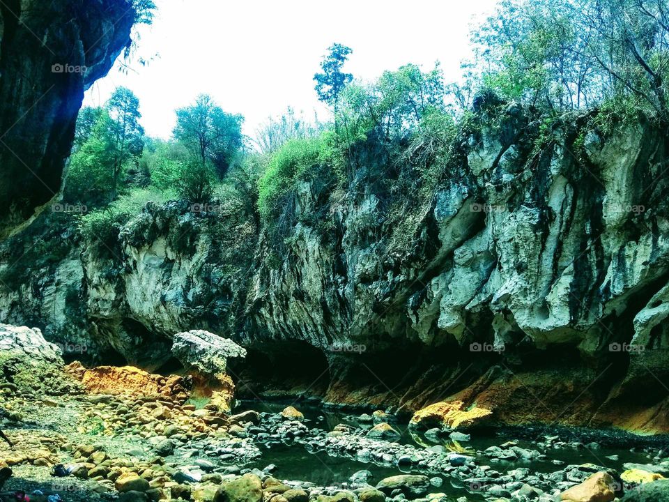 Nature Wall of Stone