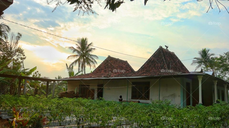 Typical house in the village of javanese Indonesia