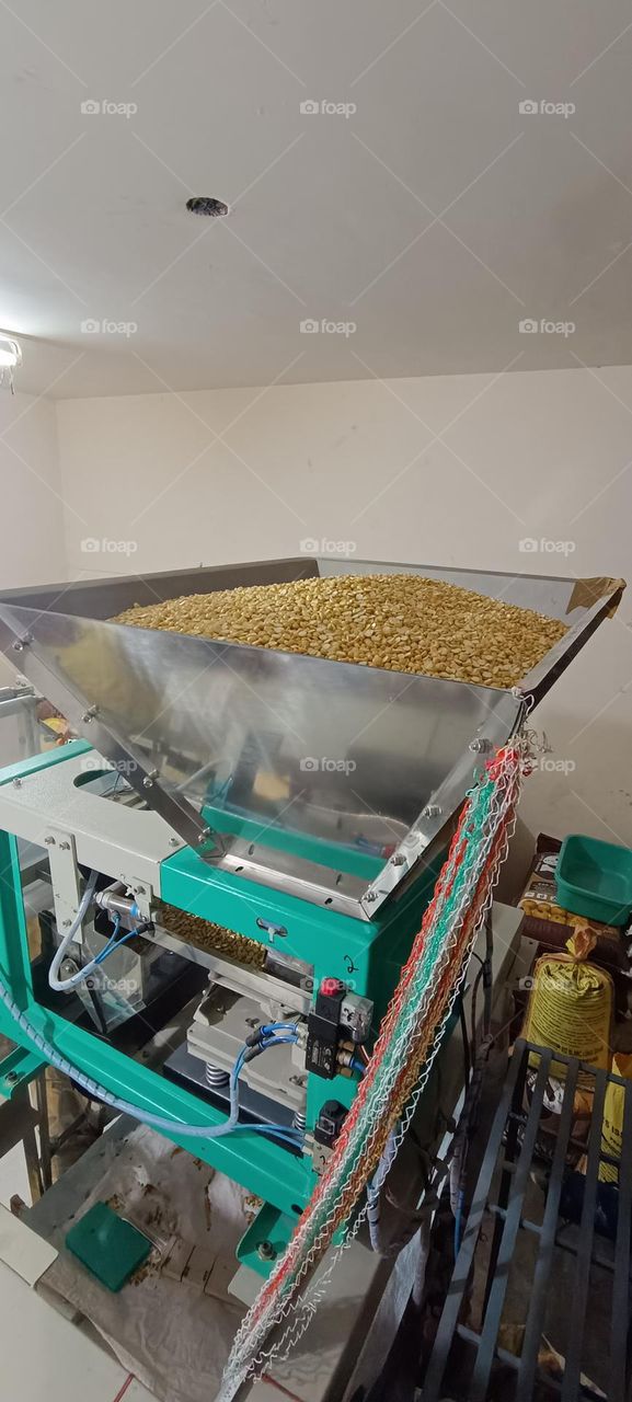 Food grain filled in a container