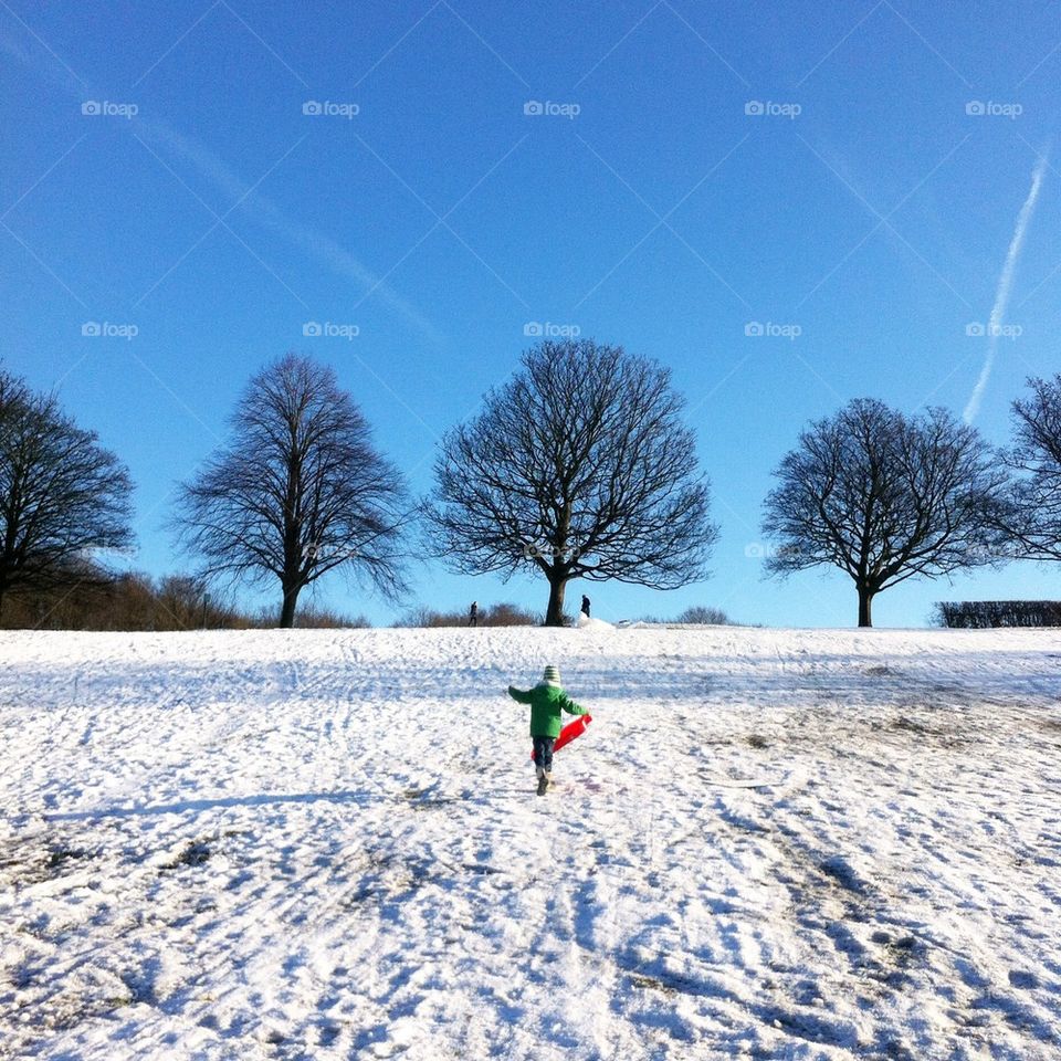 Sledging in the snow