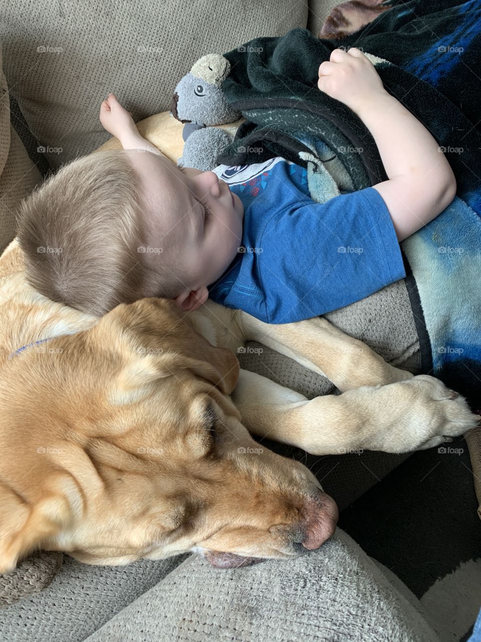 A boy and dog