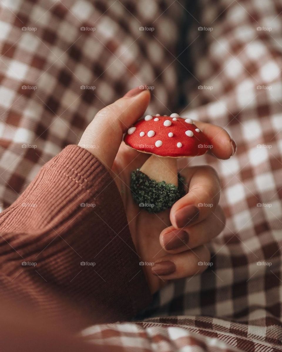 mushroom cookies, nice composition, nice colors