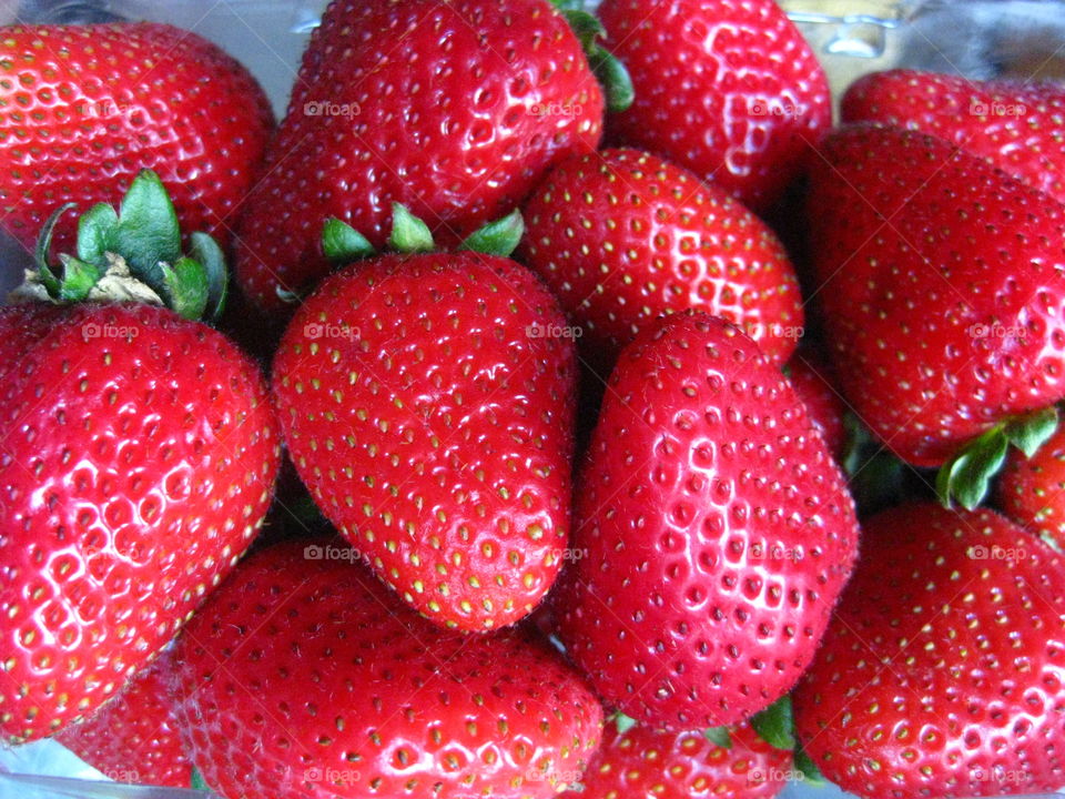 Strawberries. Fresh, organic strawberries from Berkeley, California.