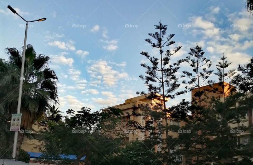 A clear blue sky with trees and some buildings.