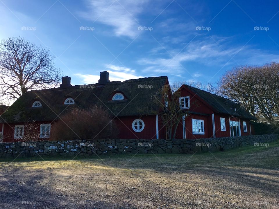 Living in the countryside