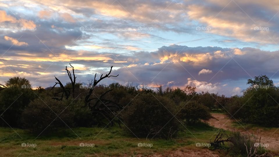 Breathtaking scene in the tranquil evening desert sky.