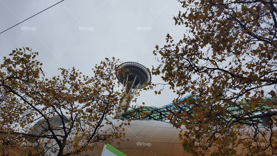 space needle