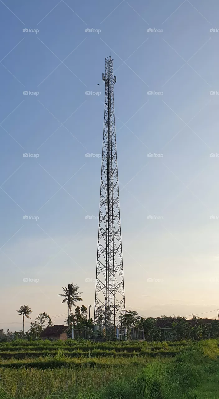 looking for a signal