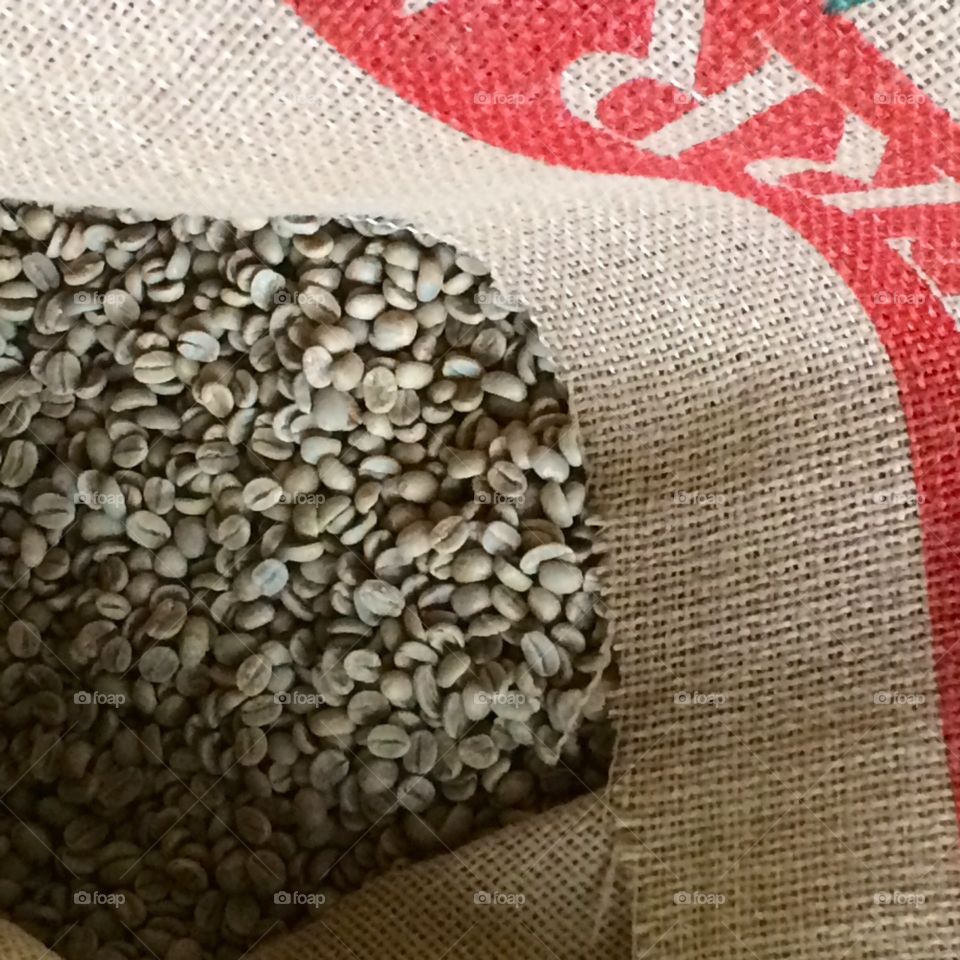 Green coffee beans at a roastery in Alaska