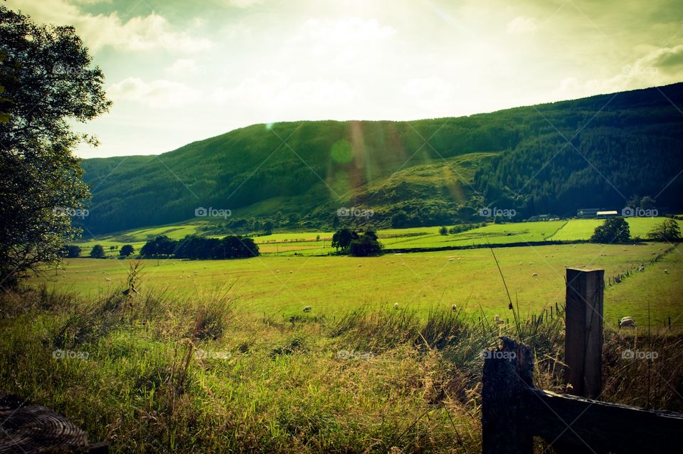 Sunlight on landscape