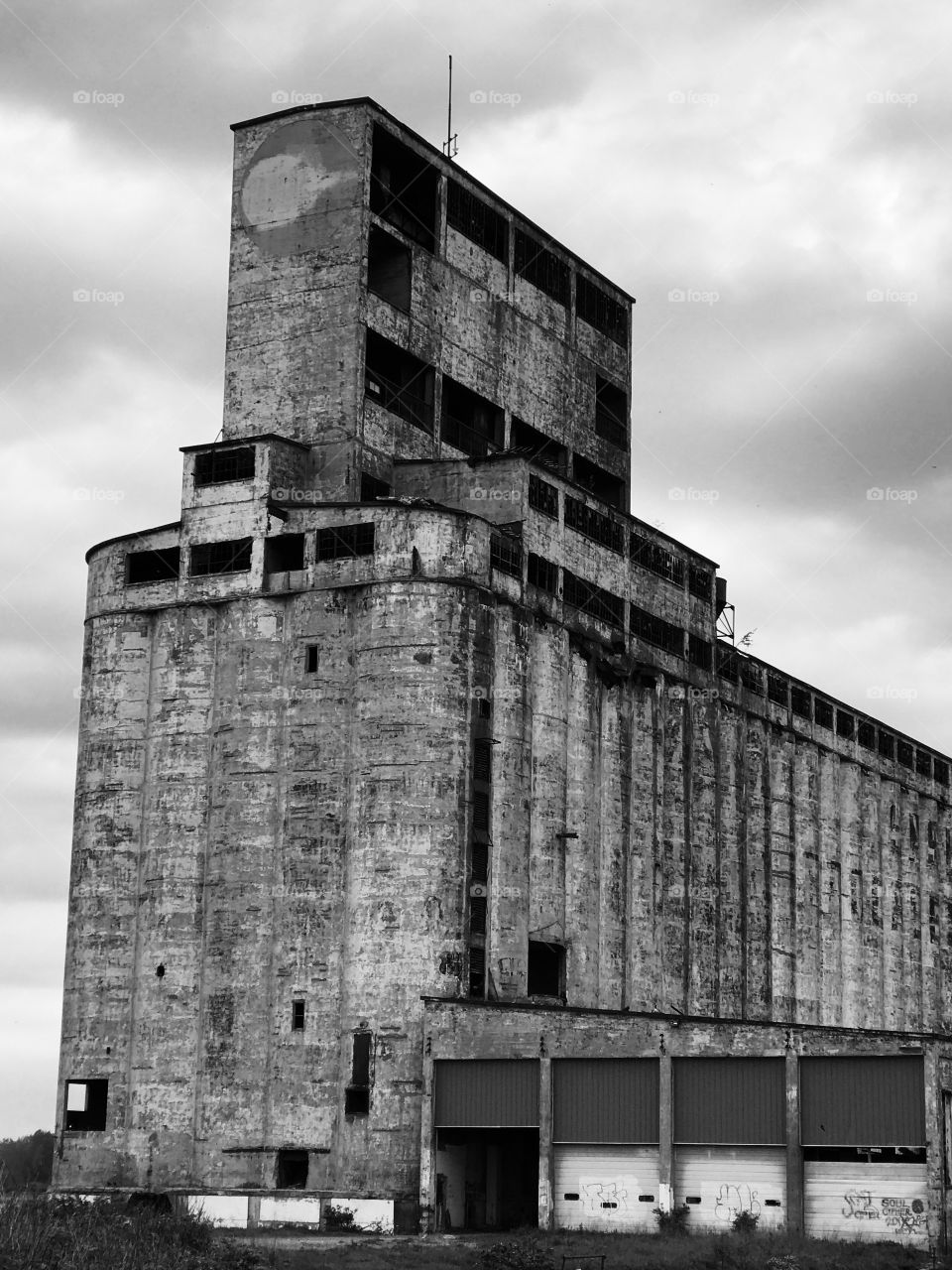 Grain elevator 